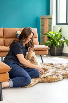 Verdigris Pet Hospital and Emergency Care