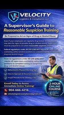 Velocity Lab Services