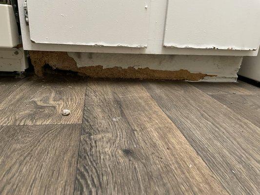 Westdale Creek Apartments