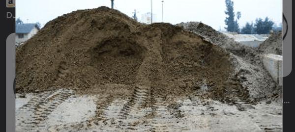 Hadley Lawn and Tree