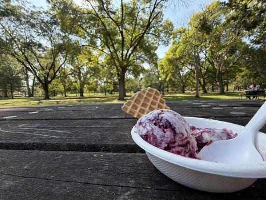Jeni's Splendid Ice Creams