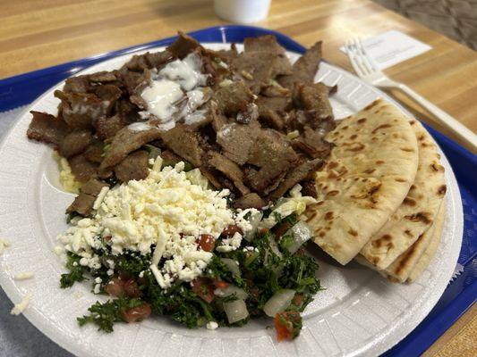 Gyro Plate