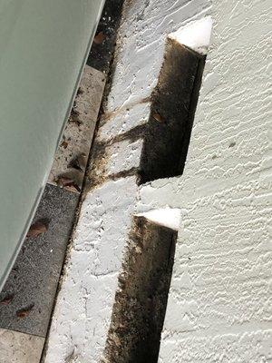 Beeline Property Inspections Inc