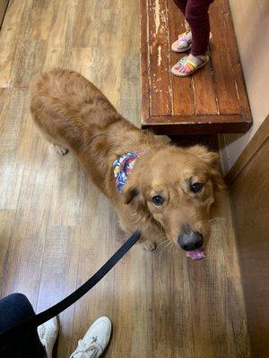 Brushy Creek Veterinary Clinic