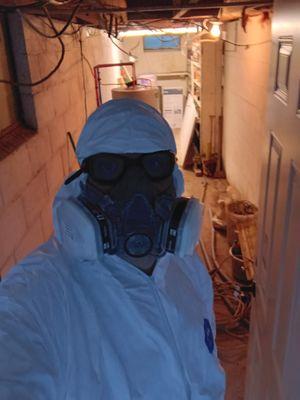 Profix Property Maintenance