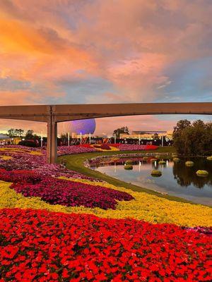 Mary’s Dream Travel Agency