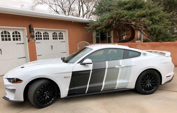 Couldn't be more happy with our Mustang!This company is professional and provides an end product which will make you smile.Highly recommend!