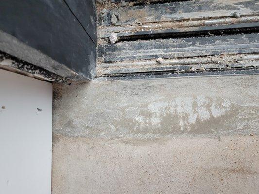 Craftsman Concrete Floors