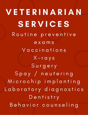 Readington Animal Hospital PA