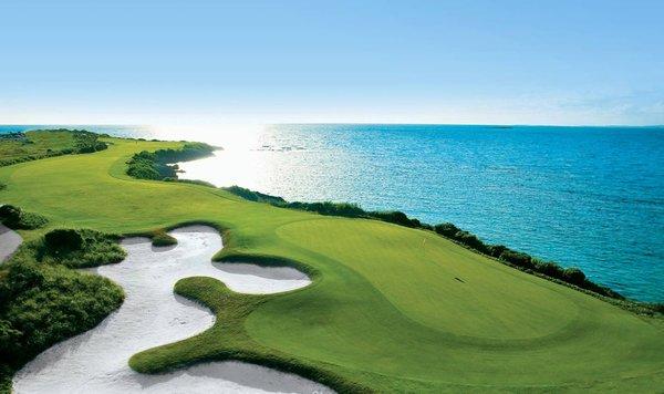 Anthony Koo - eXp Realty