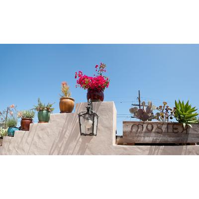 Dandy Landscape Construction