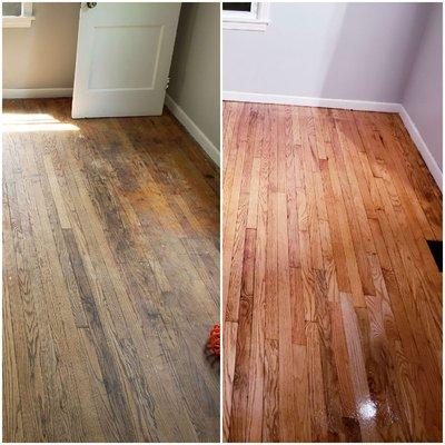 Family 1st Hardwood Flooring