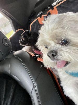 Forever Vets Animal Hospital at Riverside