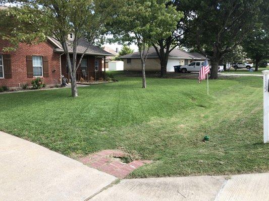 Front yard with St. Augustine grass in the main yard (not borrow ditch)