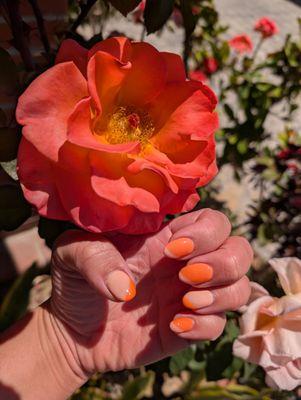 Nailed it! (Pun intended) Hello to my new summer vibe.