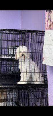 And this was when I dropped him off