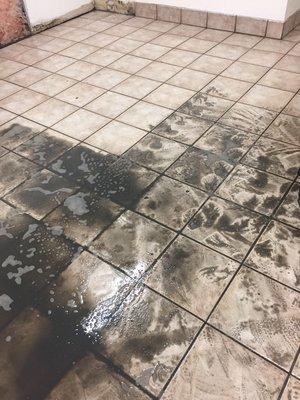 Marlins Carpet Cleaning