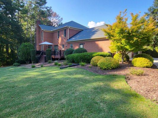 Meredith's Odds & Ends