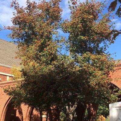 University Park United Methodist Church