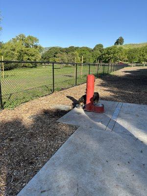 Lagoon Valley/Pena Adobe Dog Park