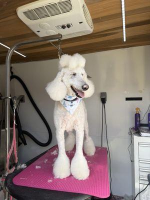 OC Dog House Grooming