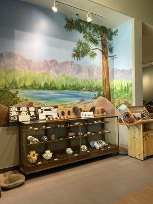 Big Bear Discovery Center