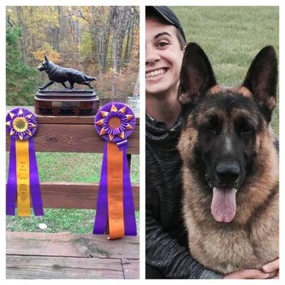 Aramist Enterprises & Kennels