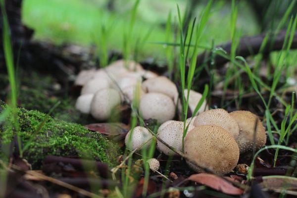 Rockville Hills Regional Park