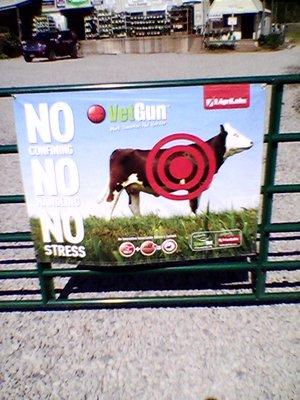 Coalton Shavings & Feed