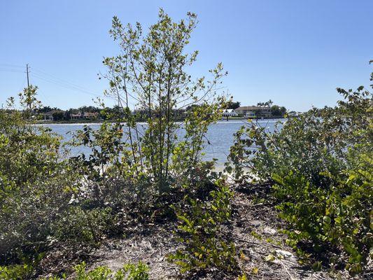 Jupiter Ridge Natural Area