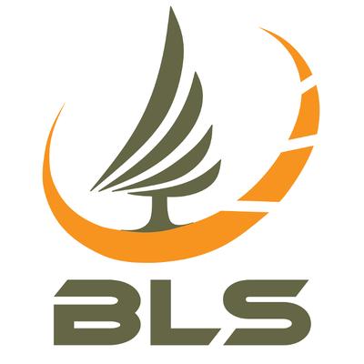 Bramlett Associates Architecture