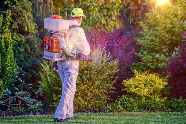Staten Island Mosquito Control