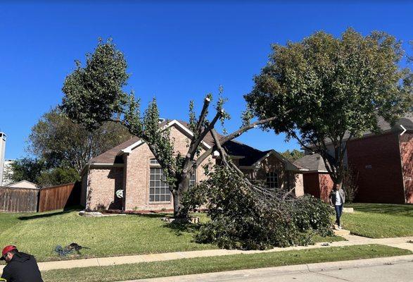 Imber’s Tree Service