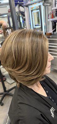 Hilights and lowlights