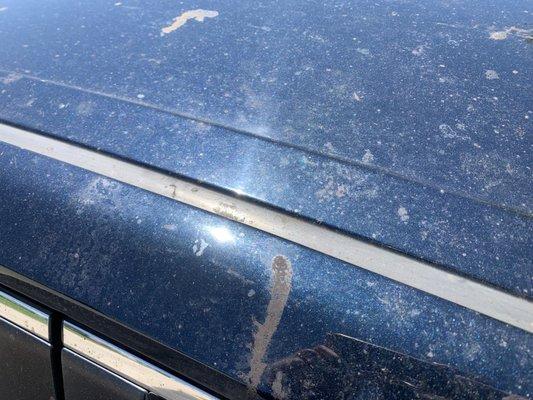 Bling Bling Auto Spa