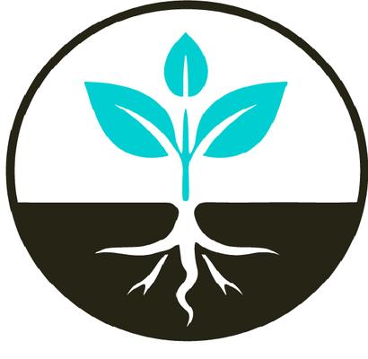 Hearts of Light Counseling & Consulting