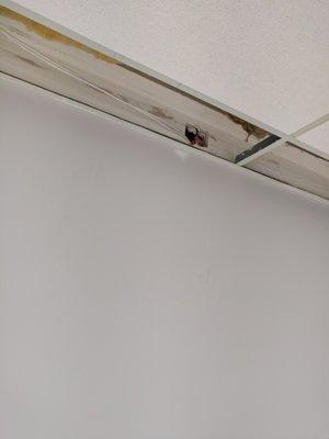 EDB Computer Repair And Networking