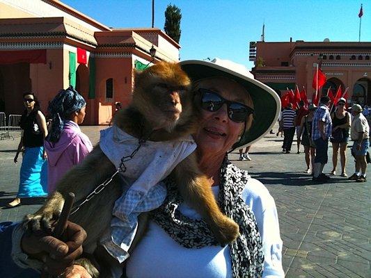 Oxi Fresh Carpet Cleaning