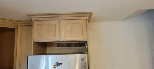 Borinquen Renovation