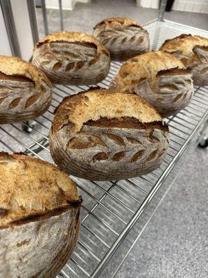 BreadBasket Bake House