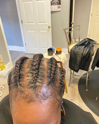 Ellen Locs Frizz American Hair Braiding