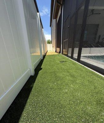 Turf meets tail-wags