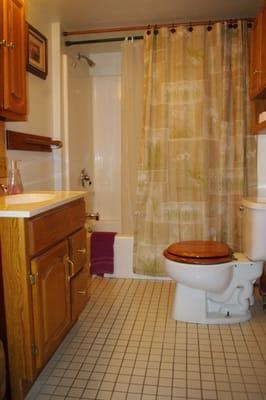 A full bathroom in the two bedroom suite. The suite also includes a half bath with free laundry facilities.
