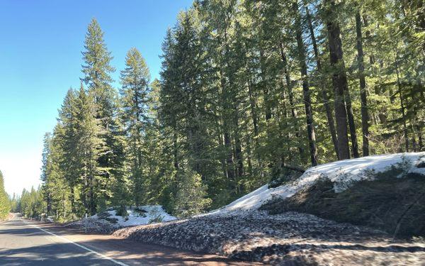 Deschutes National Forest