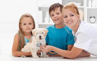 Ogemaw Veterinary Clinic