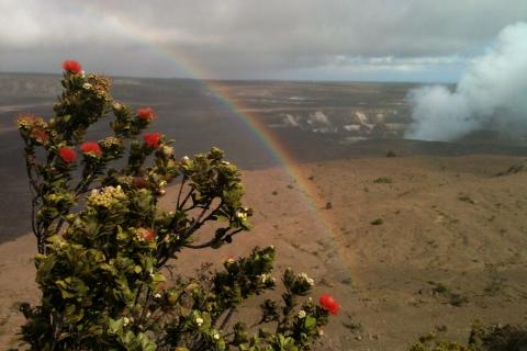 Akamai Adventure Tours & Travel