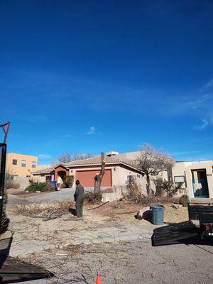 Dona Ana County Tree Care