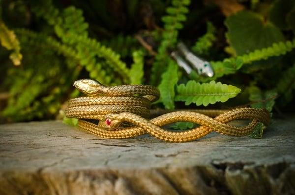 Gold, Ruby Snake Necklace
This braided snake choker coils just enough in the front to add undulating interest and design...