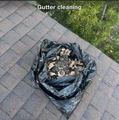 Juniors VIP Cleaning