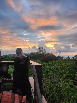 Hawaii Belt Coffee Garden B&B